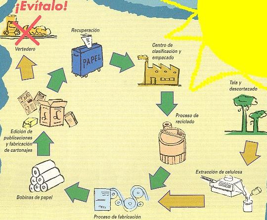 El reciclaje del papel | de Gestión de Residuos